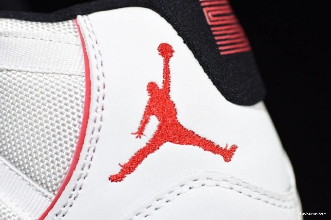 Reps LUCY 11 Tint Platinum Retro 378037-016 Jordan Air 0716